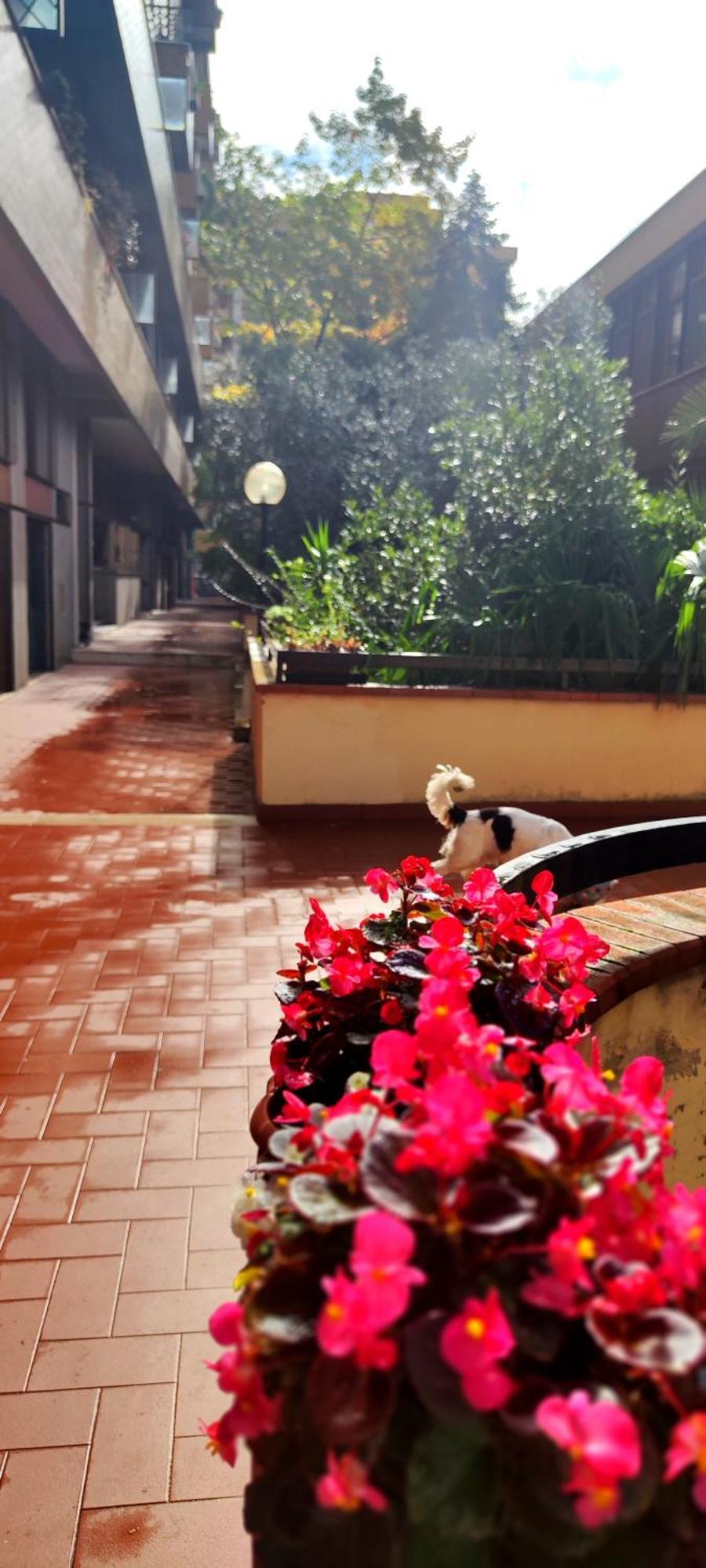 Gemme Fiorentine Apartments In Front Of The Train Station 5 Minutes From The Centre Free Parking Floransa Dış mekan fotoğraf